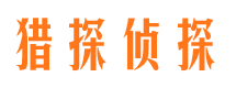 大新市私家调查